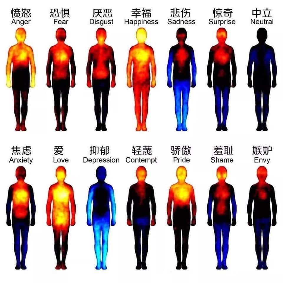 為什麼療癒自己哪麼重要 人體情緒氣場